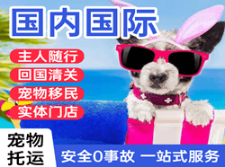 普宁航空运输国际宠物托运 【国